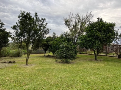 Chácara, 2 quartos, 1 hectares - Foto 3