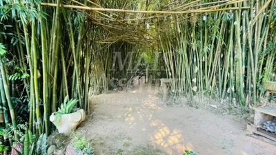 Sítio, 2 quartos, 3600 m² - Foto 3