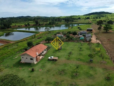 Sítio, 67 hectares - Foto 4