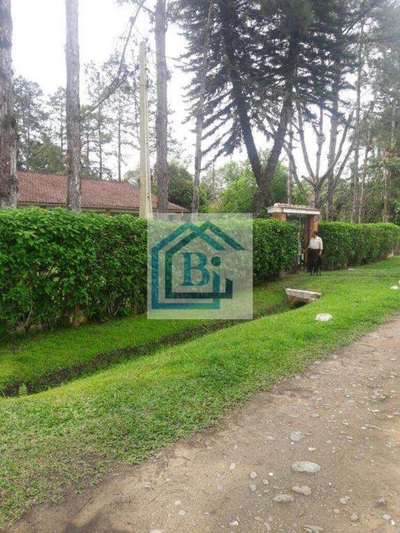 Fazenda-Sítio-Chácara, 2500 m² - Foto 2