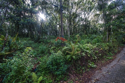 Terreno, 1489 m² - Foto 4