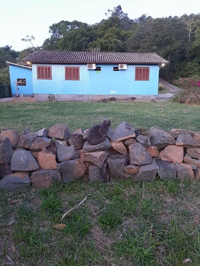 Chácara, 3 quartos, 1 hectares - Foto 1
