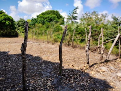 Terreno, 768 m² - Foto 3