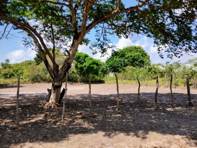 Terreno, 768 m² - Foto 4