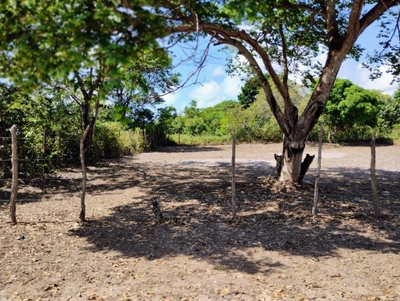 Terreno, 768 m² - Foto 5