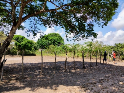 Terreno, 768 m² - Foto 2