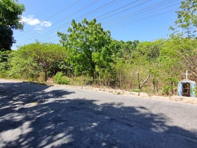 Terreno, 4 hectares - Foto 3