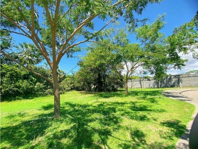 Loteamento e Condomínio, 250 m² - Foto 5