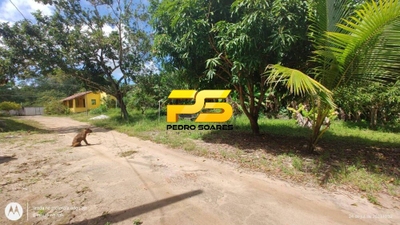 Terreno, 3 hectares - Foto 2