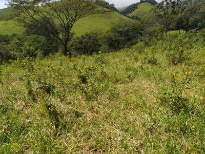 Terreno, 10000 m² - Foto 2