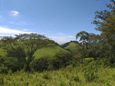 Terreno, 10000 m² - Foto 3