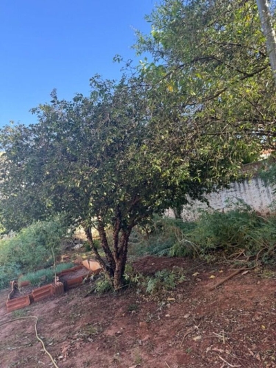 Casa, 3 quartos, 143 m² - Foto 4