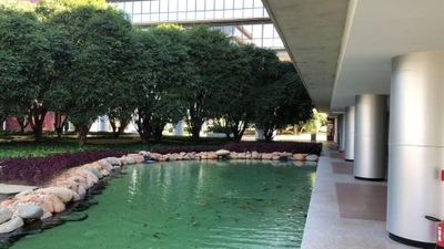 Sala-Conjunto, 236 m² - Foto 3