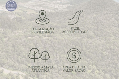 Terreno, 4 hectares - Foto 3