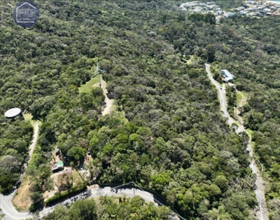 Terreno, 4 hectares - Foto 4