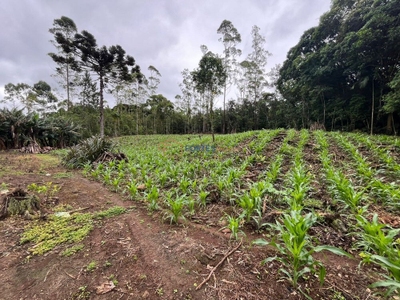 Terreno, 14 hectares - Foto 5