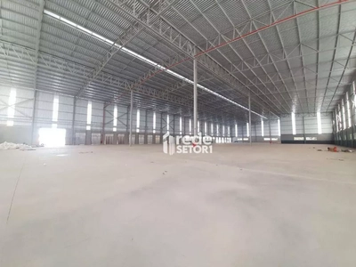 Depósito-Galpão, 6500 m² - Foto 3