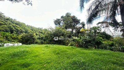 Casa, 4 quartos, 320 m² - Foto 4