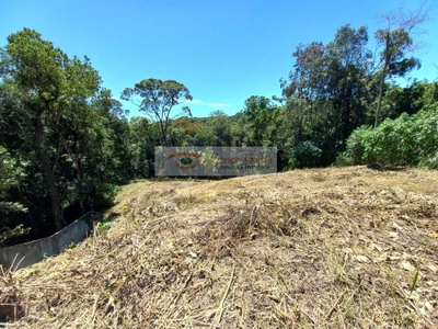 Terreno, 1732 m² - Foto 1