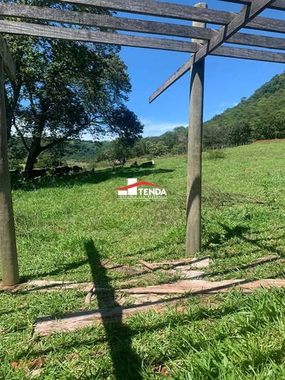 Chácara, 2 hectares - Foto 4