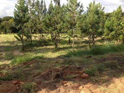 Loteamento e Condomínio, 3054 m² - Foto 3