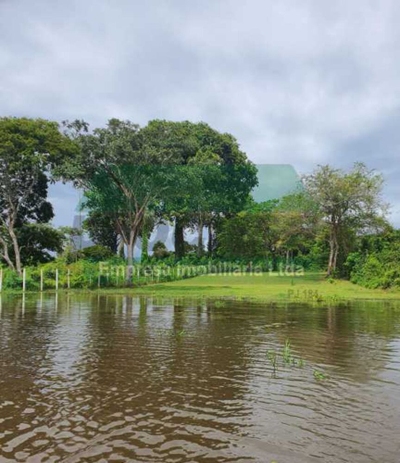 Terreno, 28 hectares - Foto 5