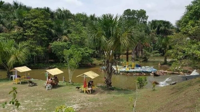 Chácara, 3 quartos, 6 hectares - Foto 3