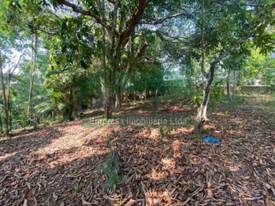 Terreno - Foto 3