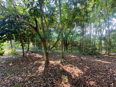 Terreno - Foto 2