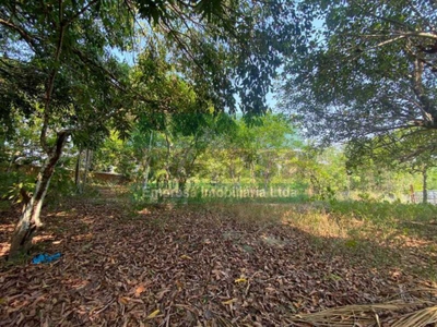 Terreno - Foto 5