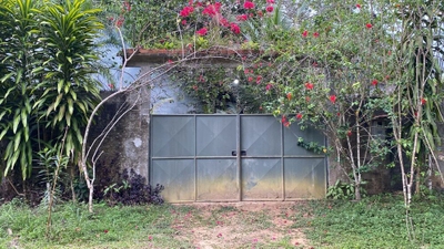 Sítio, 1 quarto, 5000 m² - Foto 2