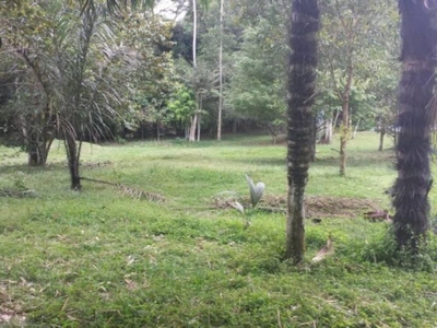 Terreno, 11000 m² - Foto 3