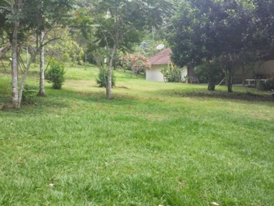 Terreno, 11000 m² - Foto 2