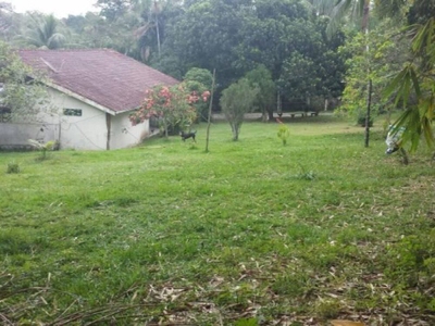 Terreno, 11000 m² - Foto 4