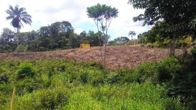 Terreno, 4 hectares - Foto 2