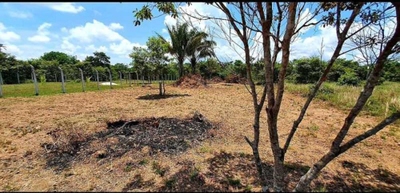 Terreno, 1298 m² - Foto 5