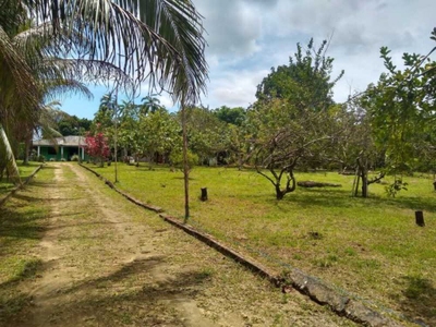 Chácara, 4 quartos, 1 hectares - Foto 1