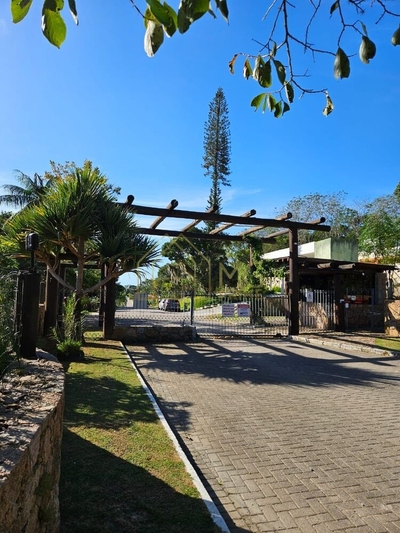 Terreno, 3000 m² - Foto 3