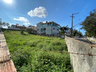 Terreno, 504 m² - Foto 3