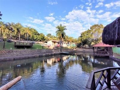 Chácara, 5 quartos, 5000 m² - Foto 5