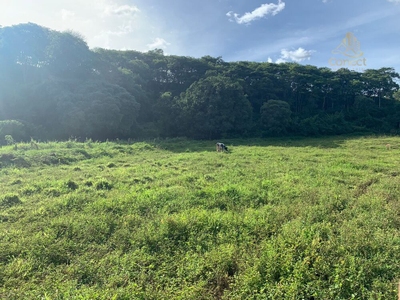 Sítio, 3 quartos, 32 m² - Foto 5