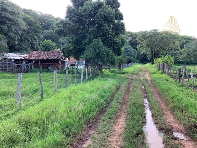 Sítio, 3 quartos, 32 m² - Foto 2