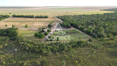 Fazenda-Sítio-Chácara - Foto 5