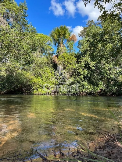 Fazenda-Sítio-Chácara - Foto 1