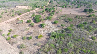 Fazenda-Sítio-Chácara - Foto 2