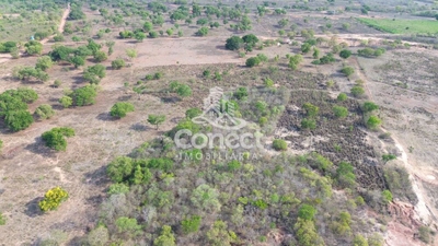 Fazenda-Sítio-Chácara - Foto 3