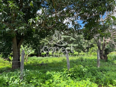 Fazenda-Sítio-Chácara, 3 quartos - Foto 3