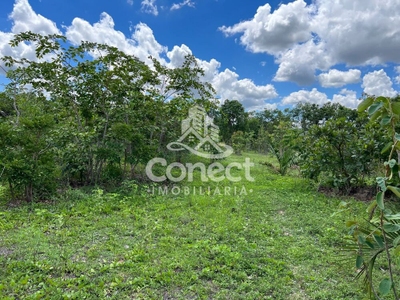 Fazenda-Sítio-Chácara, 3 quartos - Foto 5