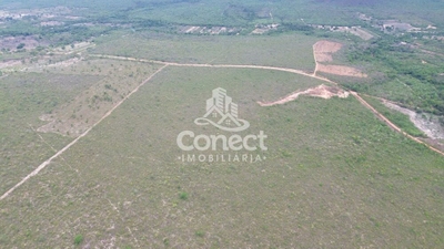 Fazenda-Sítio-Chácara - Foto 2