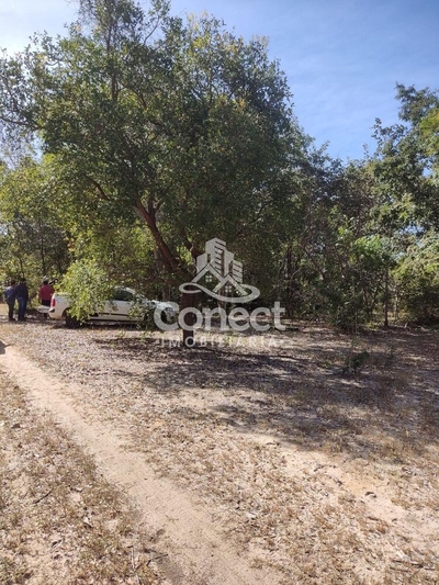 Fazenda-Sítio-Chácara, 3950 m² - Foto 2